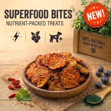Superfood Bites