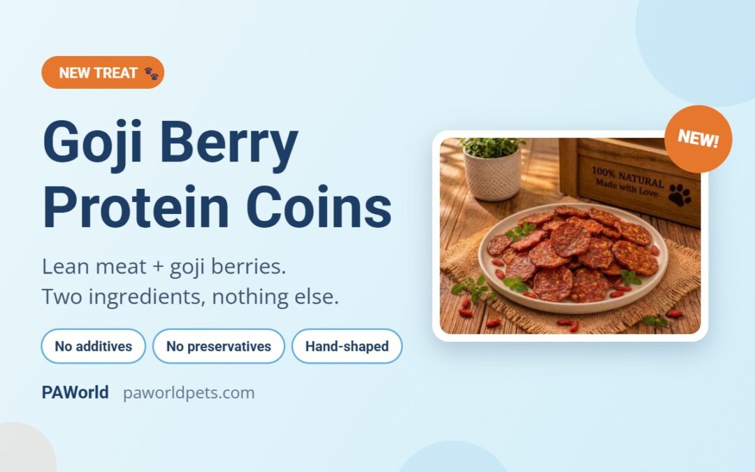 Meet Our Newest Treat: Goji Berry Protein Coins 🐾